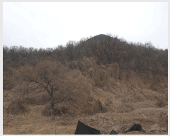  2025Ÿ��725 ��õ ��ȭ�� ������ ���� ��69      ����(�Ӿ�)���