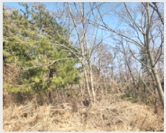  2025Ÿ��725 ��õ ��ȭ�� ������ ���� ��69      ����(�Ӿ�)���