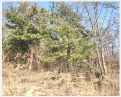  2025Ÿ��725 ��õ ��ȭ�� ������ ���� ��69      ����(�Ӿ�)���