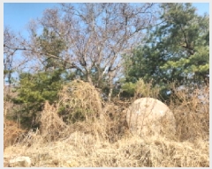  2025Ÿ��725 ��õ ��ȭ�� ������ ���� ��69      ����(�Ӿ�)���