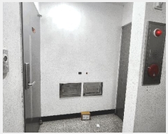  2025Ÿ��507196  �ټ���(����)���