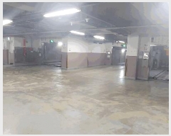  2025Ÿ��508988  ����Ʈ���