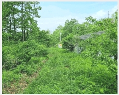  2025Ÿ��509016 ��õ ��ȭ�� ������ ������ 271-12      ����(����)���