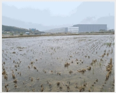  2025Ÿ��816 ��õ �߱� ��ϵ� 789-360       ����(��)���