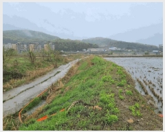  2025Ÿ��816 ��õ �߱� ��ϵ� 789-360       ����(��)���