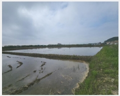  2025Ÿ��816 ��õ �߱� ��ϵ� 789-360       ����(��)���