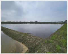  2025Ÿ��816 ��õ �߱� ��ϵ� 789-360       ����(��)���