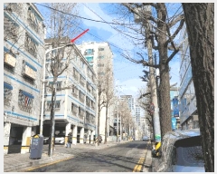  2025Ÿ��507218 ��õ ������ ������ 1203-11 �̷���Ʈ�� 4�� 4��401ȣ    �ټ���,������