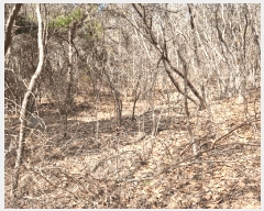  2025Ÿ��507333  �Ӿ߰��