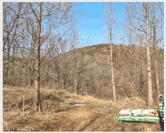  2025Ÿ��507333  �Ӿ߰��