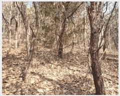  2025Ÿ��507333  �Ӿ߰��