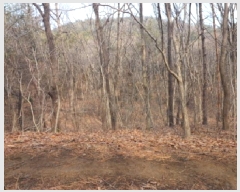  2025Ÿ��507333  �Ӿ߰��