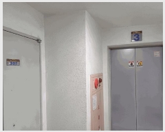  2025Ÿ��508659 ��õ ��籸 ȿ���� 238-1 ������5������Ʈ 501�� 3��307ȣ    ����Ʈ���