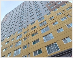  2025Ÿ��500041  ���ǽ��ڰ��