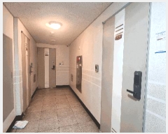  2025Ÿ503828 õ  Ϸ 88, 10 1007ȣ (,ƮȨ)    ǽڰ