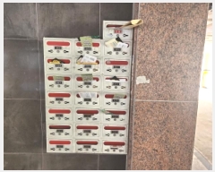  2025Ÿ��505183  �ټ���(����)���