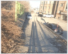  2025Ÿ��507267  �ټ���(����)���