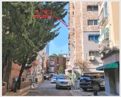  2025Ÿ��507401  ���ǽ��ڰ��