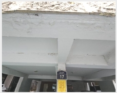  2025Ÿ507689 õ   499-2 븲Ʈ 2203ȣ     ټ,