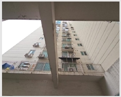  2025Ÿ��507881  ���ǽ��ڰ��