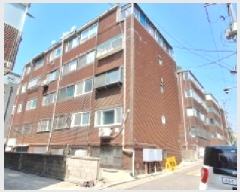  2025Ÿ��508562  �ټ���(����)���