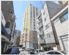  2025Ÿ509114 õ Ȧ ǵ 146-4 ũ 2202ȣ     ǽڰ