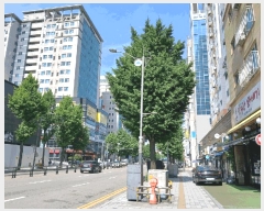  2025Ÿ��509594 ��õ ����Ȧ�� �־ȵ� 126-6 �־ȷ�Ҹ��ֻ��հ�������  8��807ȣ    ���ǽ��ڰ��