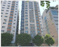  2025Ÿ510585 õ   124-32 þƮ 8807ȣ     ǽڰ