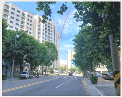  2025Ÿ510769 õ Ȧ ǵ 118-18 žŬþ 121205ȣ     ټ,