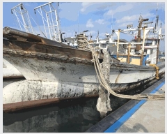  2025Ÿ��508226  ���ڰ��