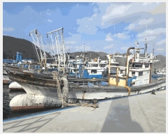  2025Ÿ��508226  ���ڰ��