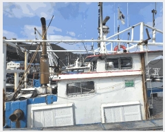  2025Ÿ��508226  ���ڰ��