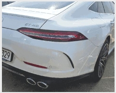  2025Ÿ��509256  �������