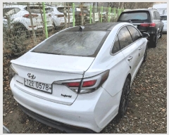  2025Ÿ��514016 ��õ ����Ȧ�� ������� 21, ���������� (032-875-4018)     �������