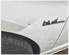  2025Ÿ��514016 ��õ ����Ȧ�� ������� 21, ���������� (032-875-4018)     �������