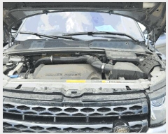  2025Ÿ510003 õ  ̵ 625-58,  (032-817-9400)     