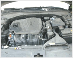  2025Ÿ��510908 ��õ ����Ȧ�� ���͵� 497-1 ����������(032-875-4018)      �������