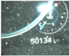  2025Ÿ��510908 ��õ ����Ȧ�� ���͵� 497-1 ����������(032-875-4018)      �������