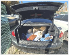  2025Ÿ��511666  �������