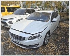  2025Ÿ��511987 ��õ ����Ȧ�� ������� 21, ����������      �������