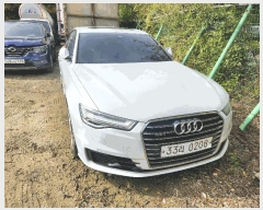  2025Ÿ��513037  �������