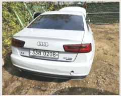  2025Ÿ��513037  �������