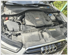  2025Ÿ��513037  �������