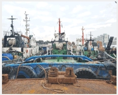  2025Ÿ��513521  ���ڰ��