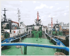  2025Ÿ��513521  ���ڰ��