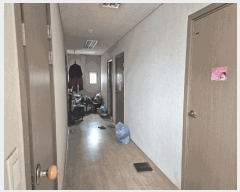  2025Ÿ��872  ������