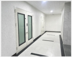  2025Ÿ��988  ����Ʈ��������