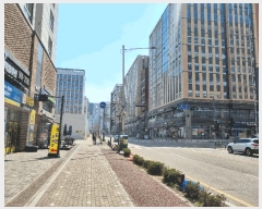  2025Ÿ��988  ����Ʈ��������