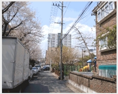  2025Ÿ1332  õ   302-24 ȣ 1ȣ    ټ,