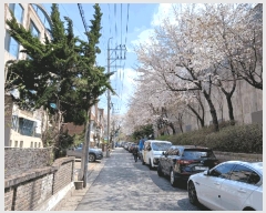  2025Ÿ1332  õ   302-24 ȣ 1ȣ    ټ,